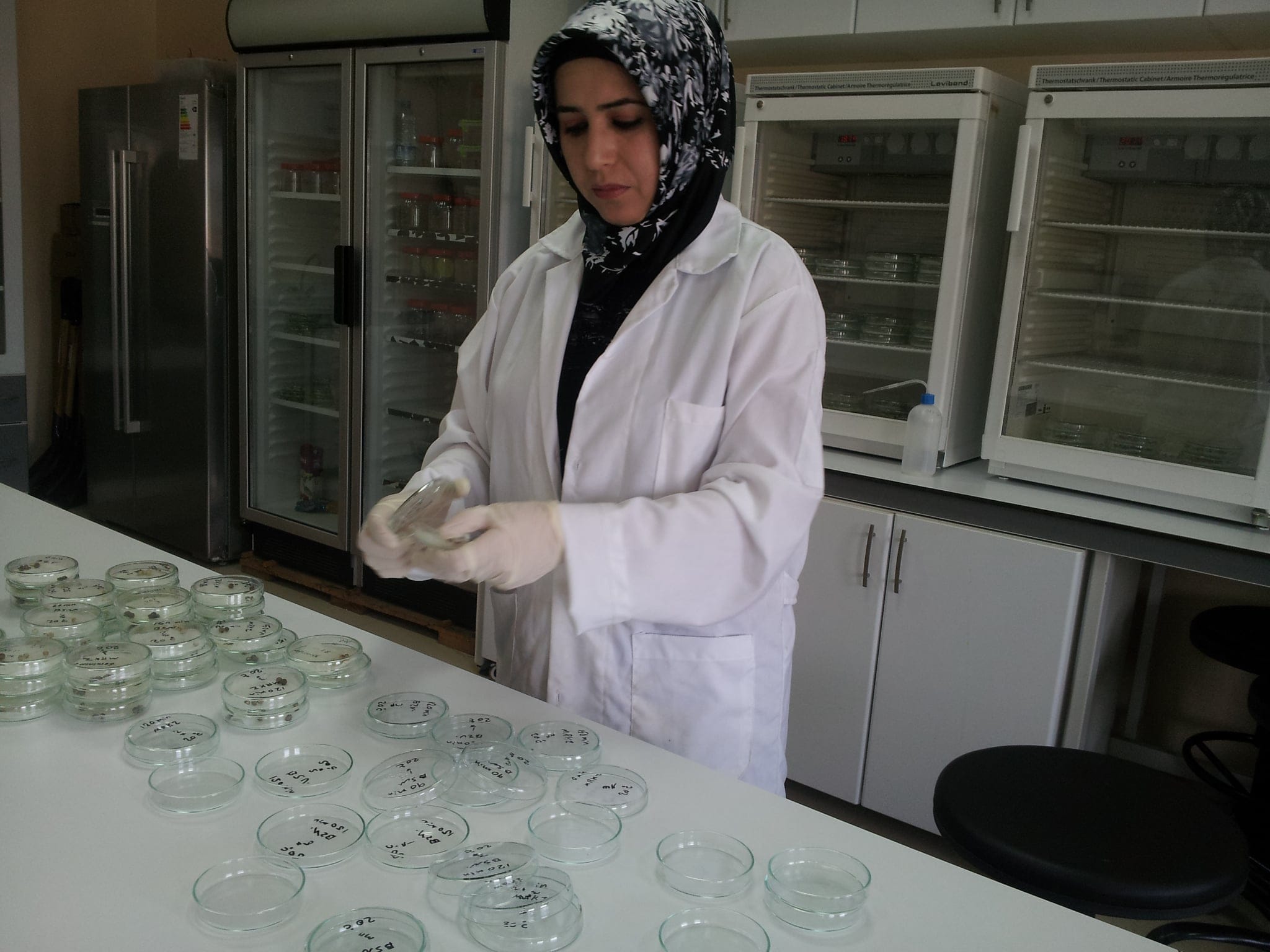 Student working in a science laboratory